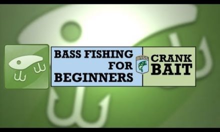 Bass Fishing for Beginners: Crankbait