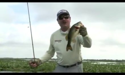 Florida Flippin’ (One More Cast 2016 Week 9)