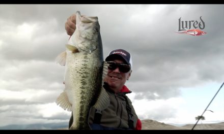 LURED Back to California’s Big Bass Lakes