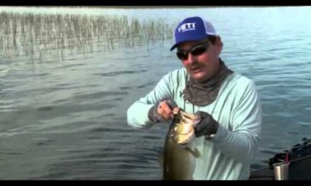 Lipless in Kissimmee (One More Cast 2016 Week 7)