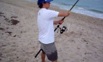 Beach Shark Fishing