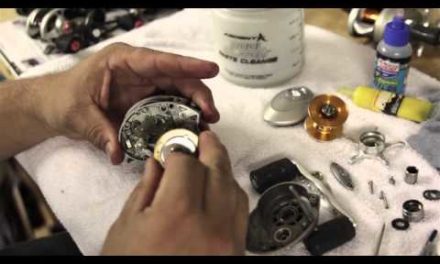 How to Disassemble and Clean Low-Profile Baitcaster Fishing Reels