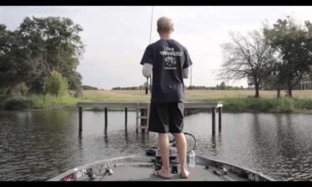 How to Fish Weightless Senkos Shallow for Bass
