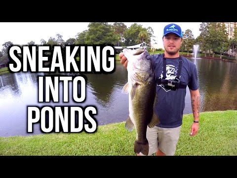 Flair – SNEAKING into Ponds for Bass with YouTubers