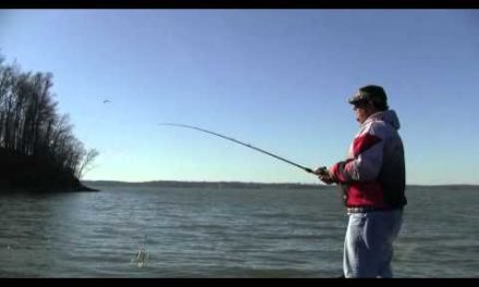The Alabama Rig – How to Get Started Fishing with It