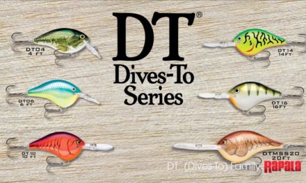 The Differences in the Rapala® DT® (Dives-To) Family