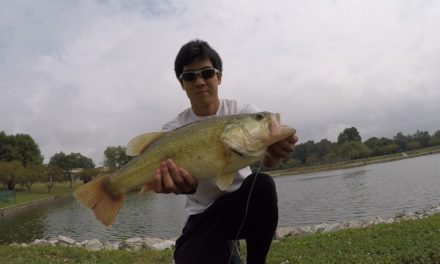 5 Lb Bass Caught from a Small Pond!!!
