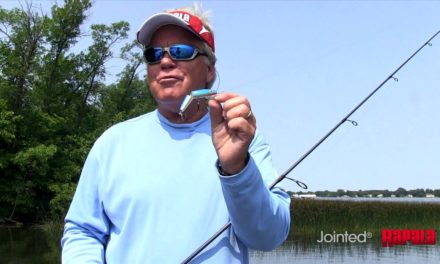 How to Fish the Rapala Jointed Minnow