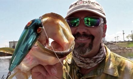 Topwater Lures Any Angler Can Walk With Ease