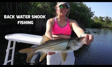 – Backwater Snook Fishing Vlog