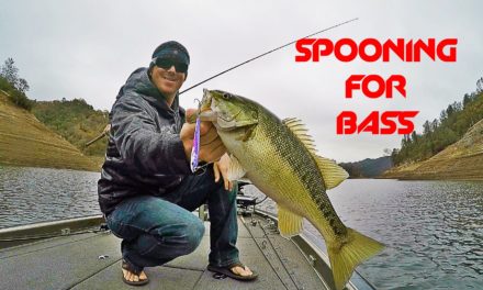– Bass Fishing: How to Catch Fish With a Spoon