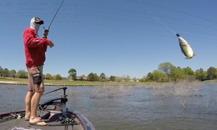 Bass Fishing Shallow Spring Search and Approach