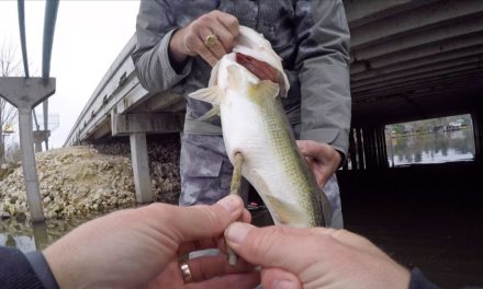 LakeForkGuy – Big Bass Eats & Poops Senko Worms