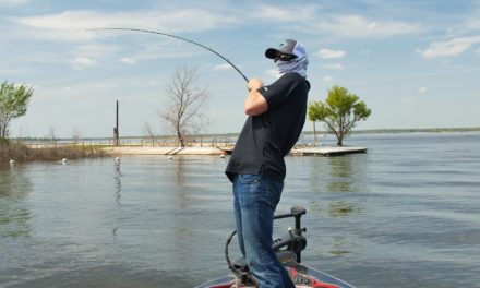 Blind Bed Fishing for Bass Tips