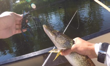 Canoe Fishing Fun for Bass & Pike at Red Lake in NY