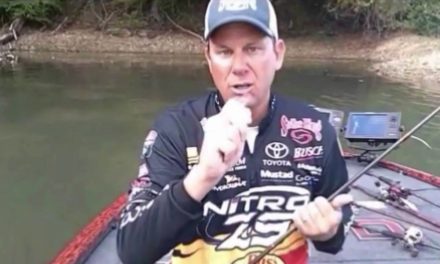 Cold water crankbait fishing with KVD and the Lucky Shad