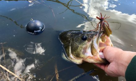 Exploring New Waters and Finding Big Bass!