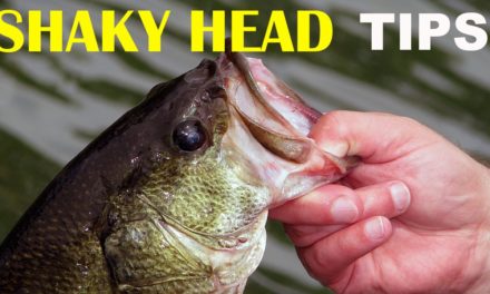 – Fishing a Shaky Head Worm Tips | Bass Fishing