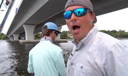 BlacktipH – Fishing for Baby Goliath Groupers with Scott Martin