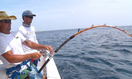 Fishing for the Reef Kings