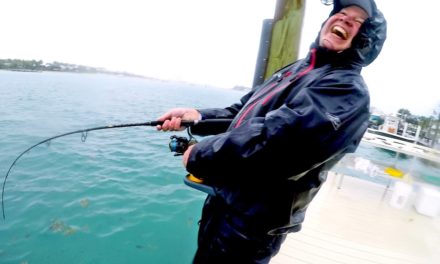 BlacktipH – Fishing in Brutal Rain on the Docks, Catch N Cook
