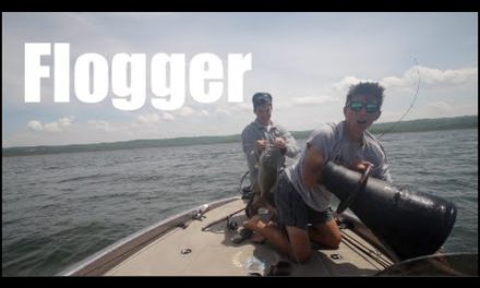 – Flogger, Ned Rig, and Spawning Smallmouth –Vlog #10