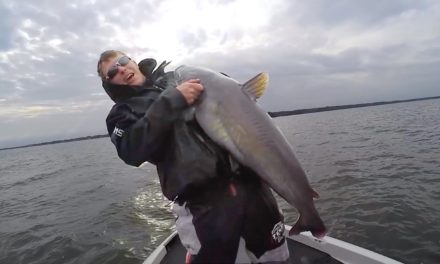 LakeForkGuy – Giant Catfish While Crappie Fishing
