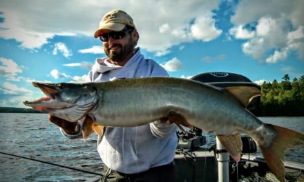 Goin’ Mental for Musky – 2017 Angling Edge (Show 4)