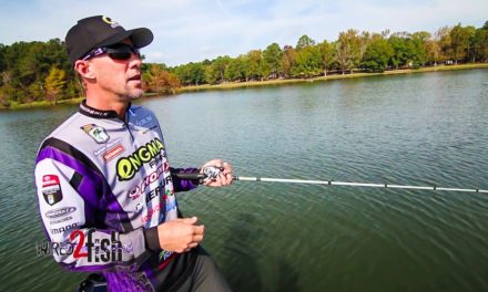 High Speed Gear Ratios for Everything Bass