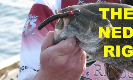 – How To Fish The Ned Rig | Bass Fishing