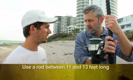 BlacktipH – How to Do Florida – Shark Fishing Episode