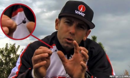 How to Fish Wacky Jigheads for Inactive Bass – Iaconelli