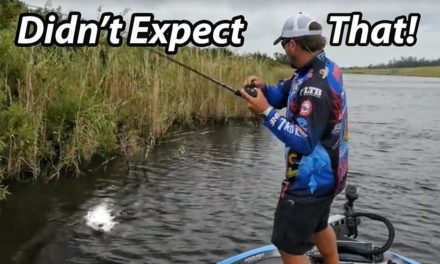 Scott Martin Pro Tips – How to Fish a Spinnerbait – Scott Martin – Everything you need to know.