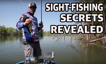 – How to Sight Fish – Expert Fishing Tips You Need To Know For Bass