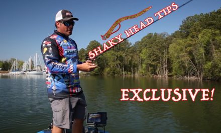 How to fish a shaky head worm 101 – Picking the right line, color, size and rod