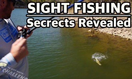 How to sight fish for BIG BASS – Important Tournament Fishing Tips