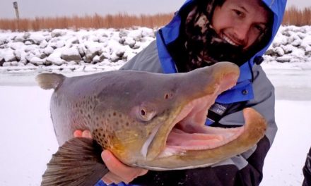 BlacktipH – Ice Fishing for Giant Brown Trout – ft. Eric Haataja – 4K