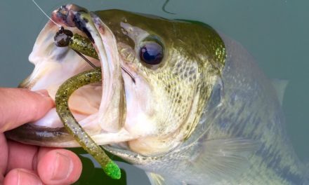 Jerkbaits to Finesse Fishing – Unlocking the Bass Pattern at Loch Raven Reservoir