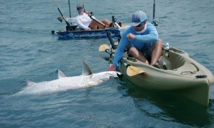 Kayak Fishing – Giant Tarpon and Jack Crevalles – 4K