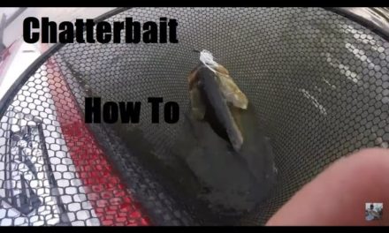 Lake Fork Bass Fishing Chatterbait: How To