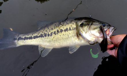 Losing a $300 Rod?!?! Bass Fishing at the Occoquan Reservoir in VA