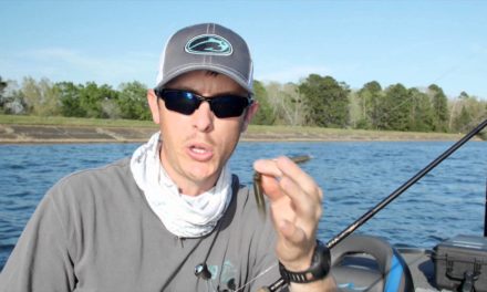 My Top 3 Sight Fishing for Bass Tips