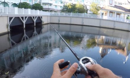 Lunkers TV – Pond Bass Fishing at Disney World