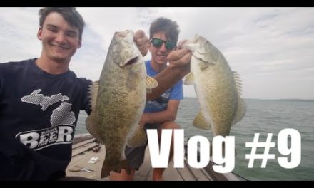 – Pre Spawn Michigan Smallmouth on Jerkbaits –Vlog #9