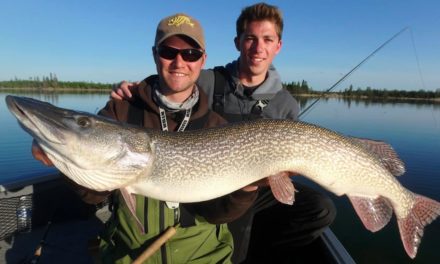 Sightfishing Monster Pike and Trout Combo ft. Jon B. – Manitoba Northern Region
