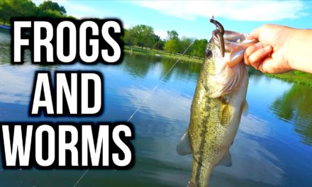 Spring Bass Fishing with Frogs and Plastic Worms