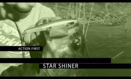 Star Shiner Preview