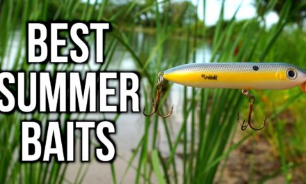 Flair – TOP 5 SUMMER BASS FISHING LURES – Pond & Lake Tips