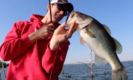 Texas Rig Worm for Bass in the Post Spawn