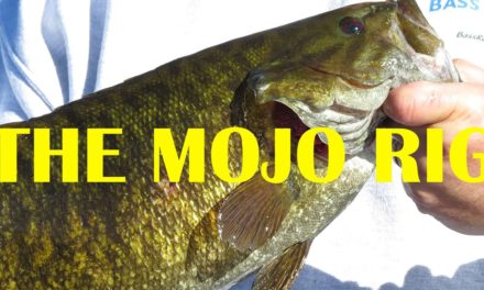 – The Mojo Rig (Split Shot Rig) | How To | Bass Fishing